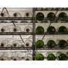 L'ATELIER du VIN Rangements modulaires métalliques pour 462 bouteilles - H170cm